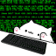 :cat_code: :cat_code: