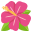 :hibiscus: 🌺