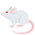 🐁