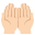:palms_up_together_light_skin_tone: 🤲🏻