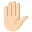 :raised_hand_light_skin_tone: ✋🏻