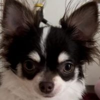 andy_w