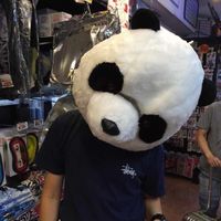 pandaxxx